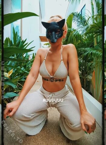 Antifuchs