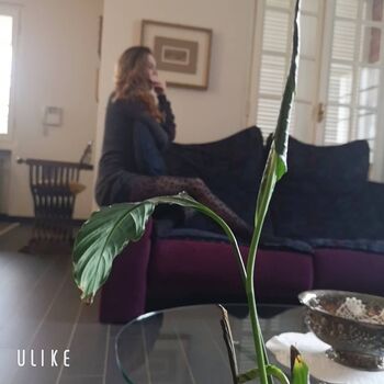 🔥 Arianna gorla page leaked private photo uncensored full