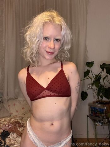 Fancy_Daisy