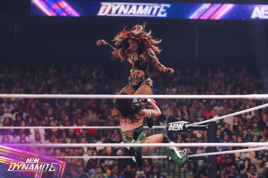 🔥 Sasha banks page leaked private photo uncensored full