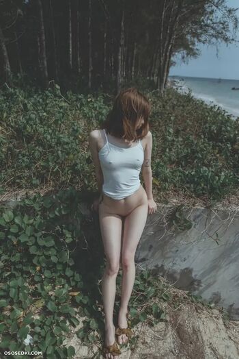 yuzuki11037