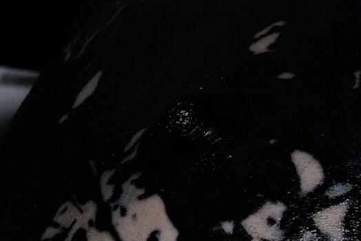 Full leaked Zzem zzem private onlyfans photo